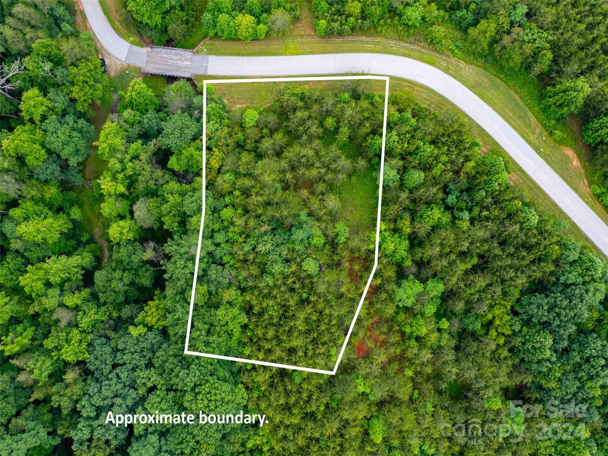 Lot 61 Deep Gap Farm Road East Mill Spring, NC 28756 - Photo 8 of 10
