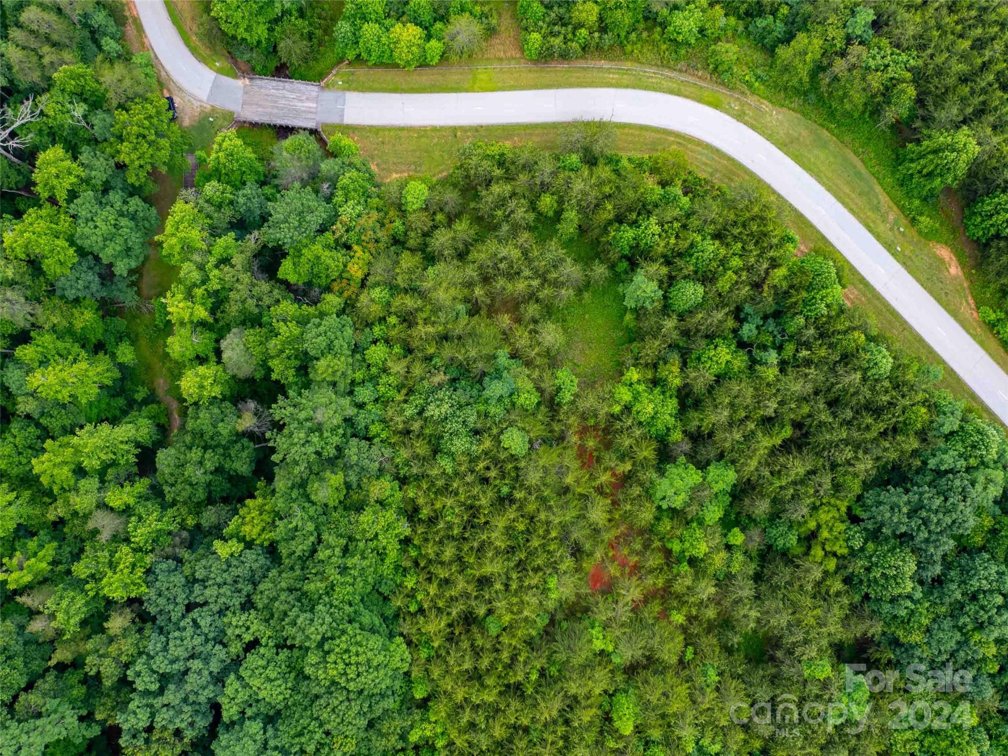 Lot 61 Deep Gap Farm Road East Mill Spring, NC 28756 - Photo 9 of 10