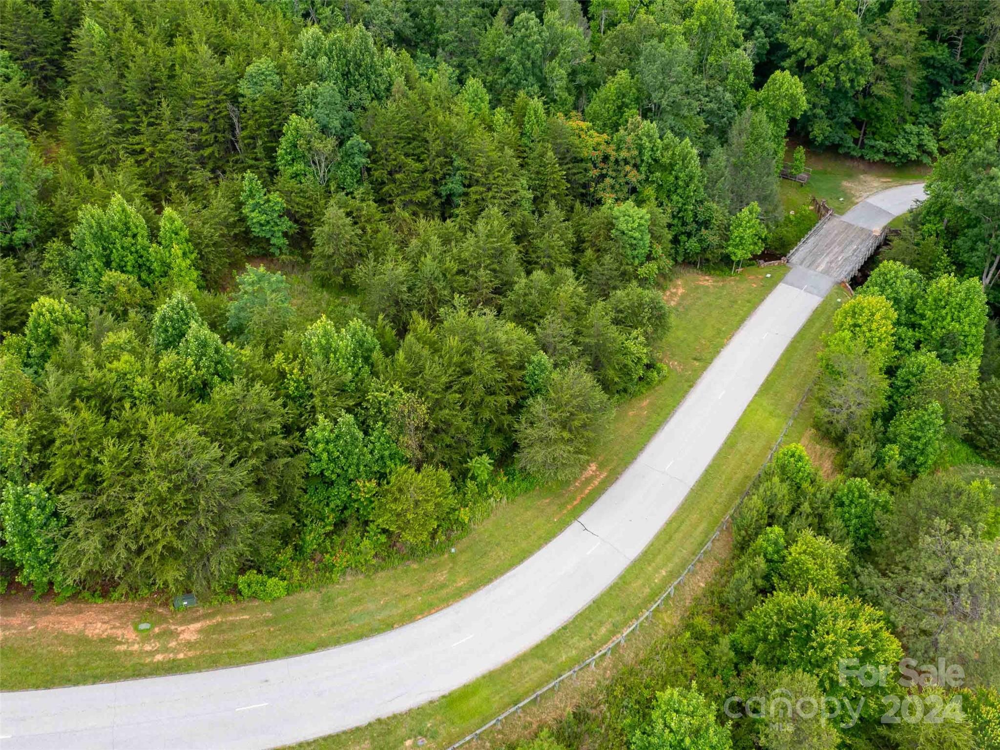 Lot 61 Deep Gap Farm Road East Mill Spring, NC 28756 - Photo 10 of 10