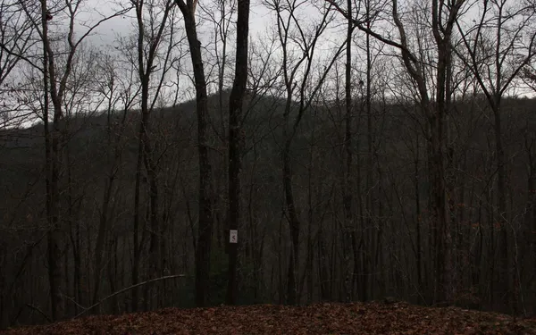 $28,600 | 6 Thunder Road, Hayesville, NC 28904