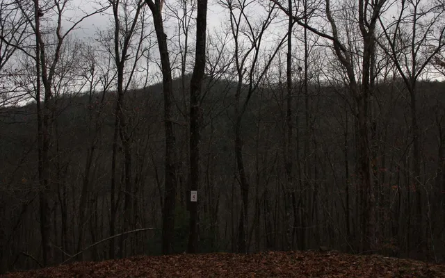 $28,600 | 6 Thunder Road, Hayesville, NC 28904