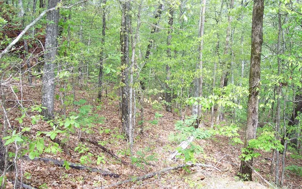 $28,600 | 6 Thunder Road, Hayesville, NC 28904