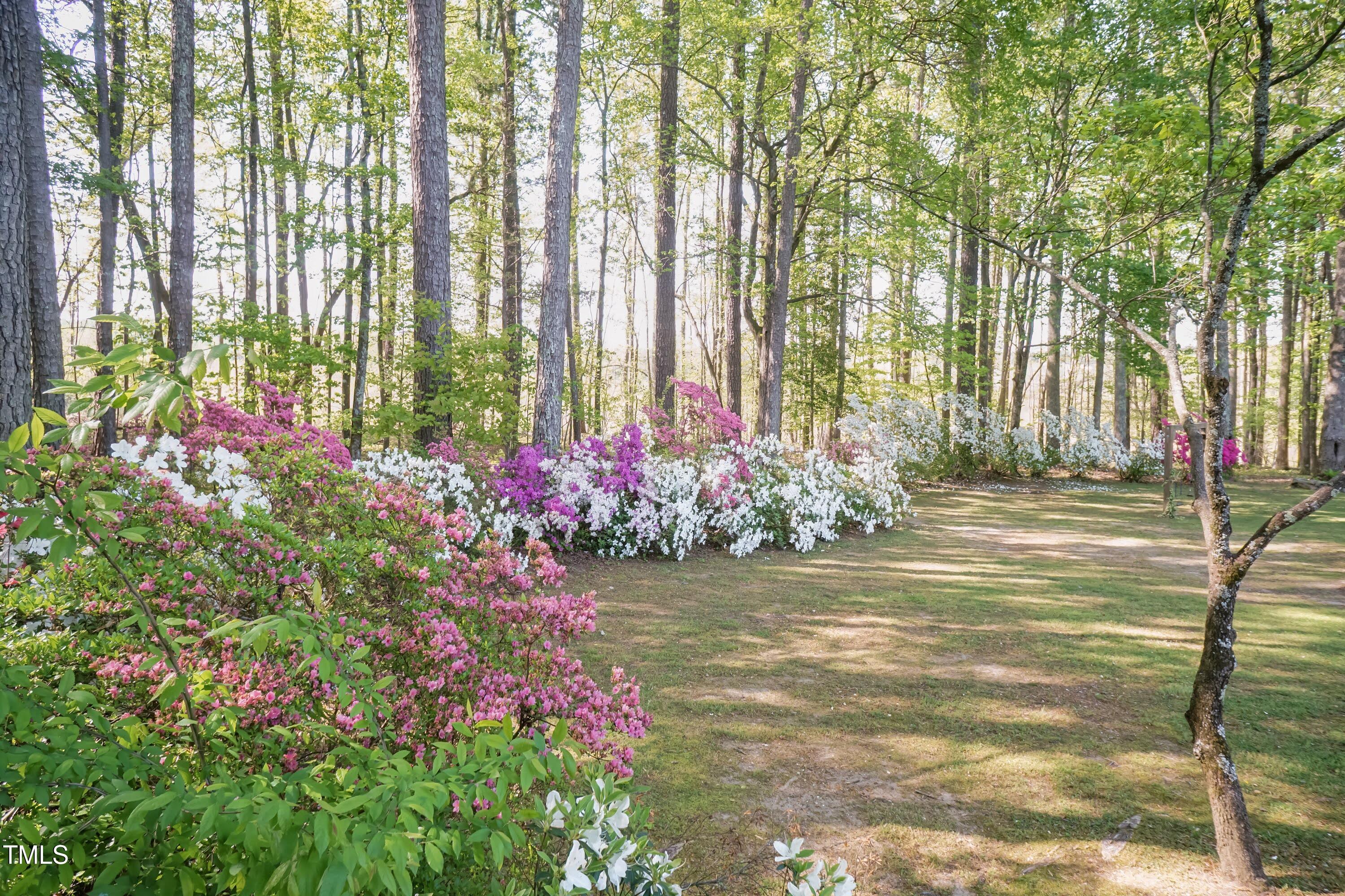 449 Hill Road Franklinton, NC 27525 - Photo 3 of 75 Flowers 02