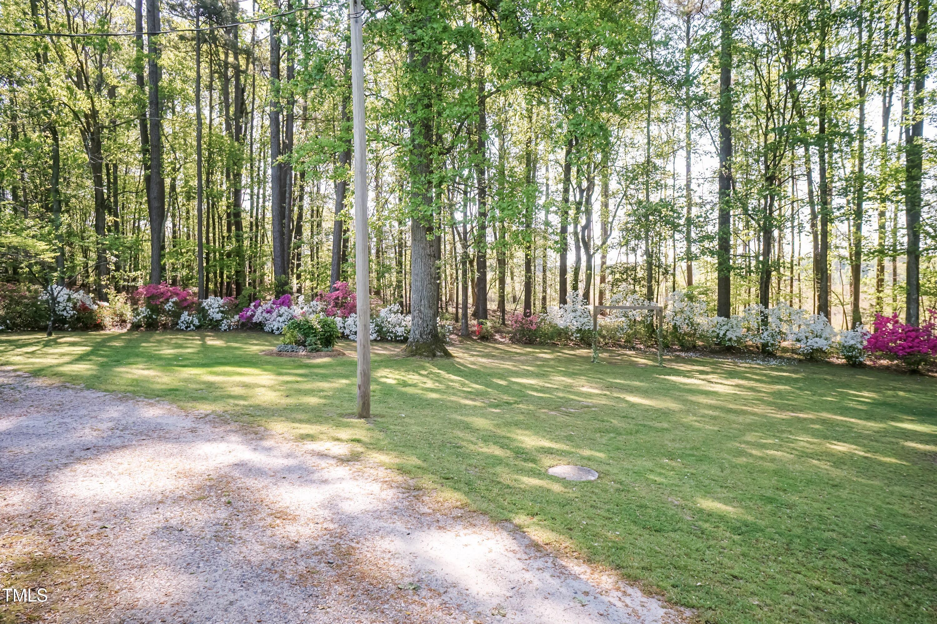 449 Hill Road Franklinton, NC 27525 - Photo 4 of 75 Flowers 01