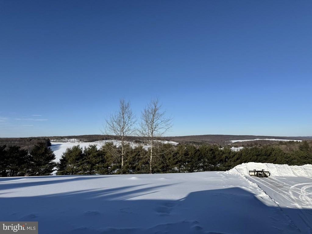 69 Sky Top Road Coudersport, PA 16915 - Photo 9 of 39