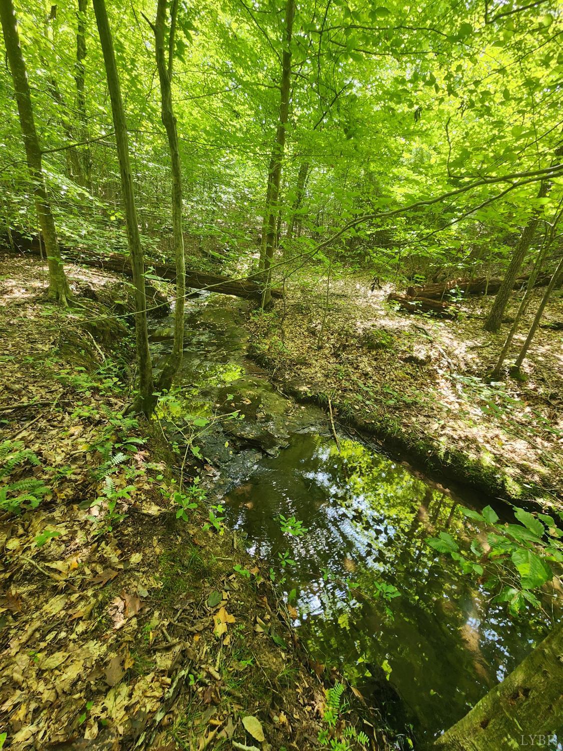 405 Moonlight Road Appomattox, VA 24522 - Photo 14 of 50 Gallery Image 14