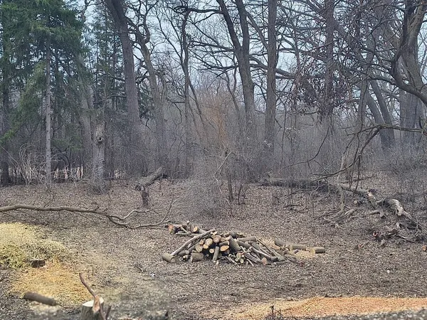 $100,000 | Lot 2 Asbury Avenue, Fox River Grove, IL 60021