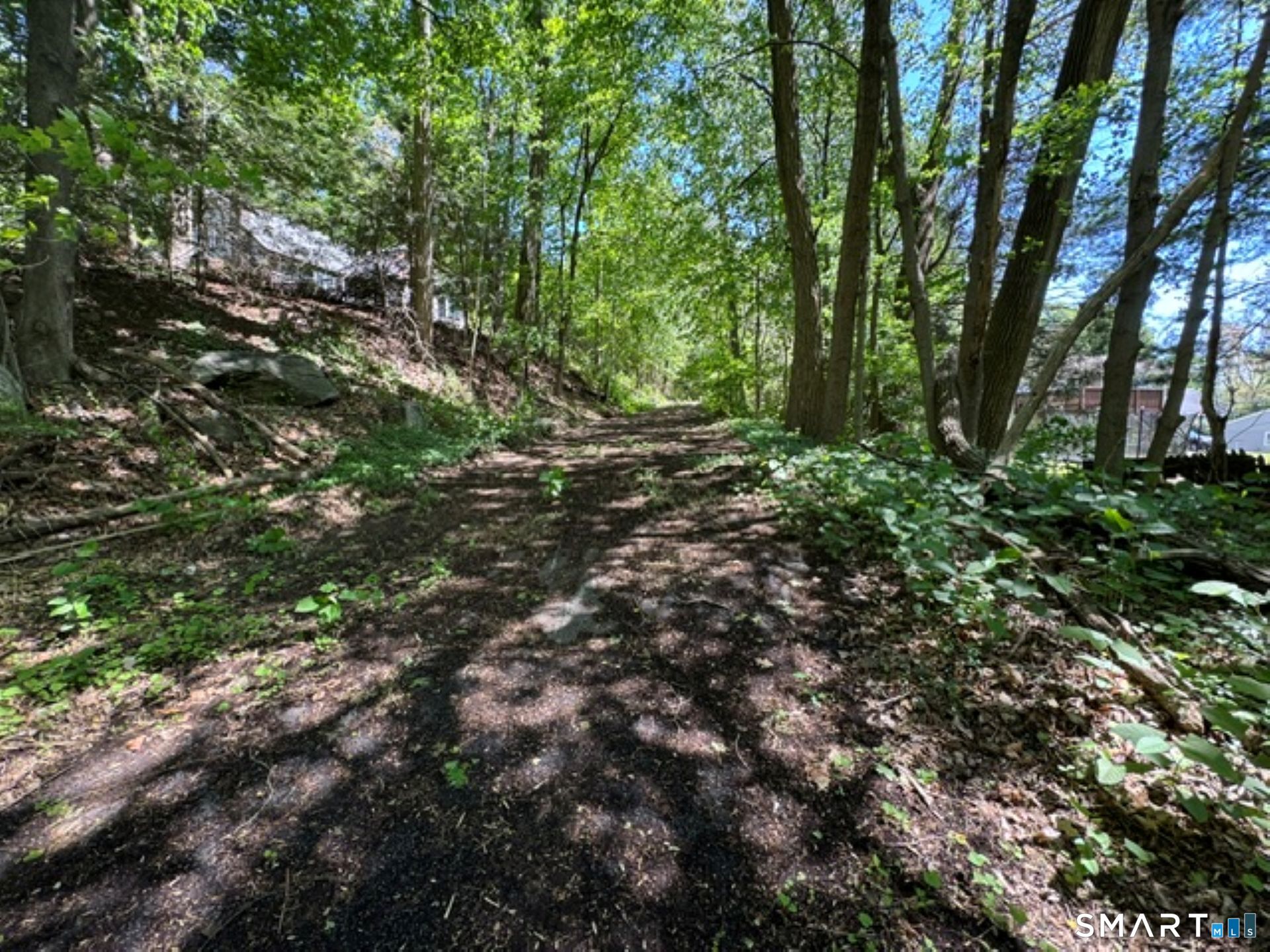 0 Wooster Street Naugatuck, CT 06770 - Photo 5 of 9 a view of a lush green forest