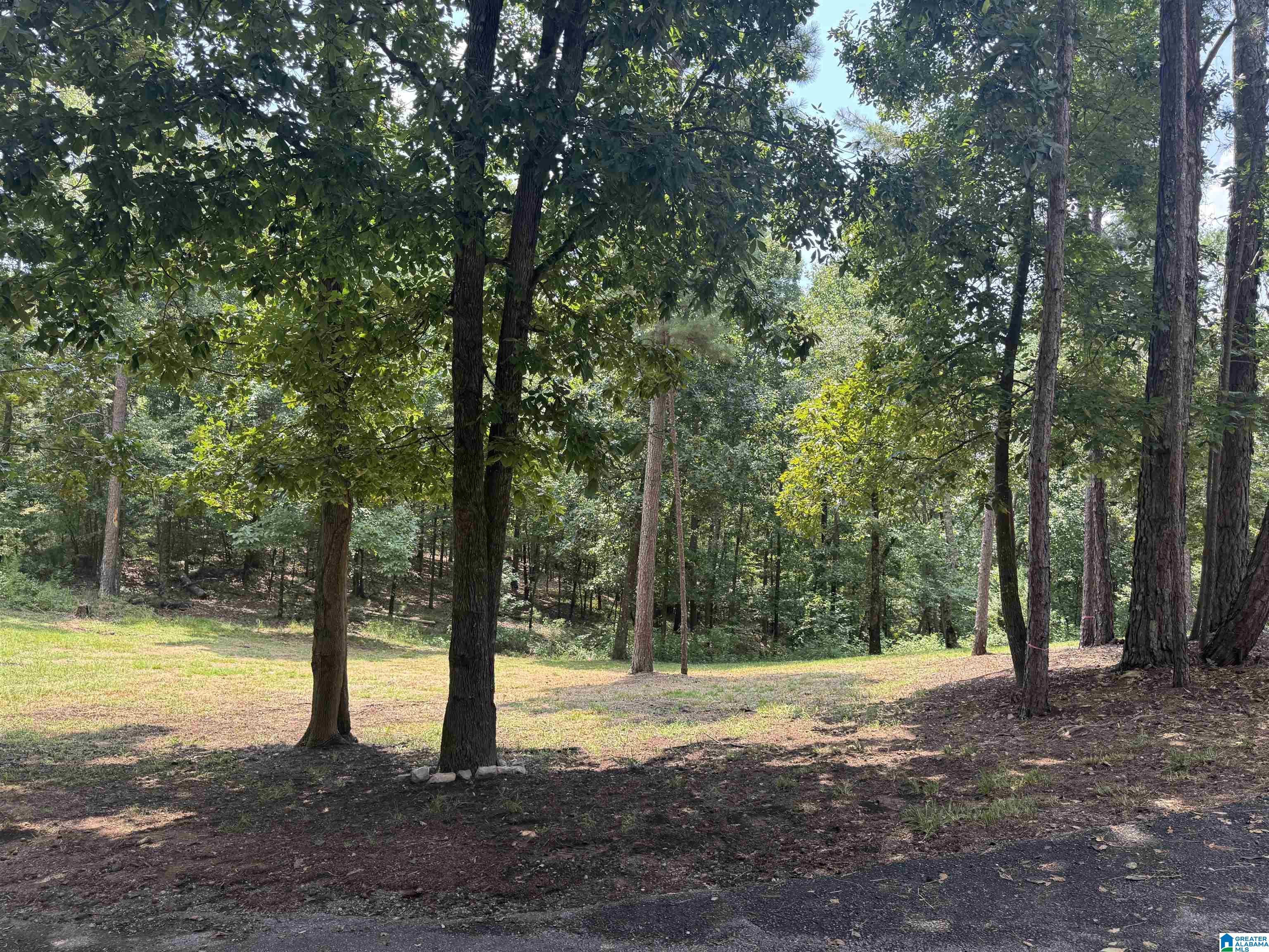 305 Stone Ridge Trail North Anniston, AL 36207 - Photo 63 of 72