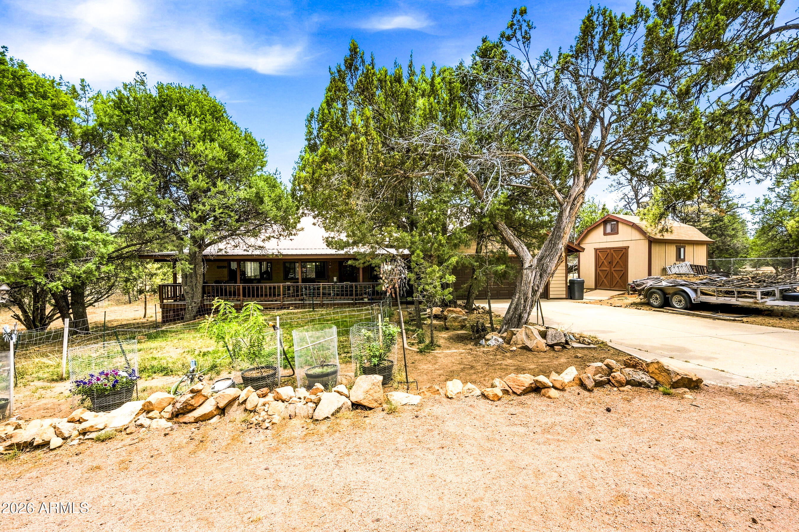3071 Ponderosa Road Overgaard, AZ 85933 - Photo 10 of 72 Grassy front elevtion