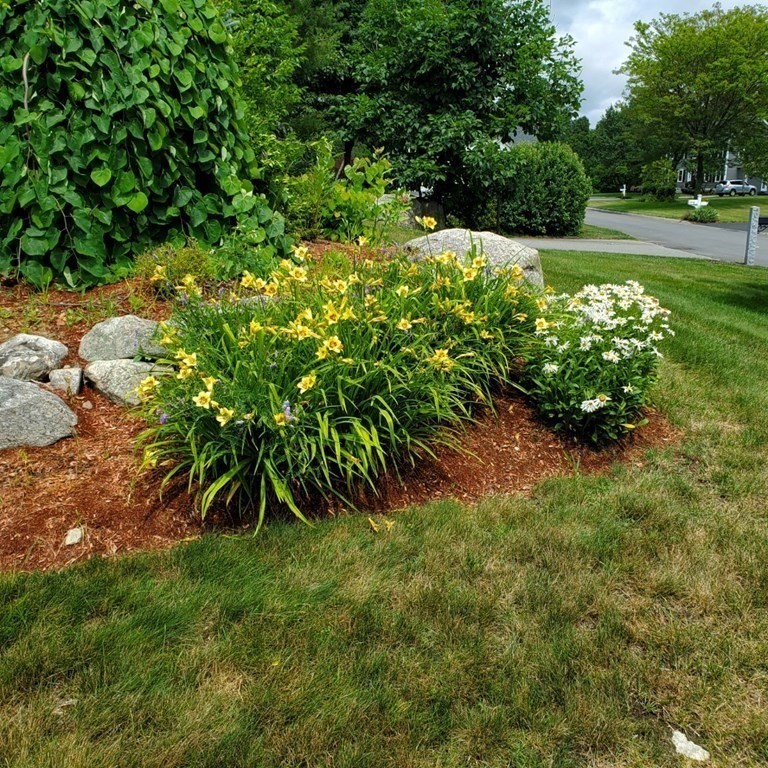 26 Chicory Road Westford, MA 01886 - Photo 37 of 42 Gallery Image 37