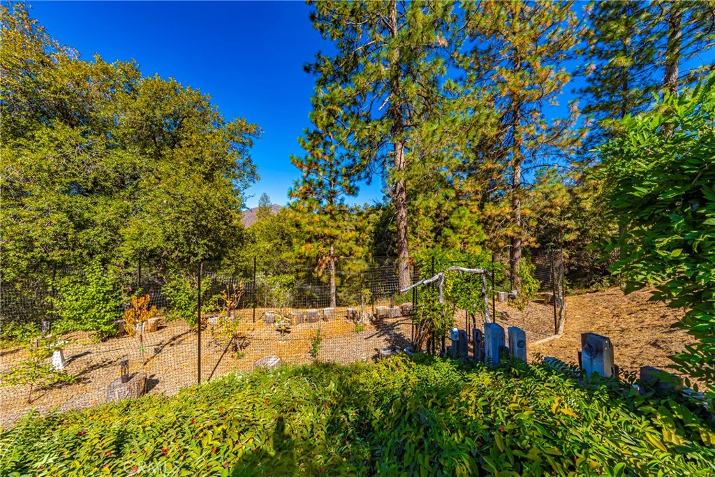 5757 Clouds Rest Mariposa, CA 95338 - Photo 50 of 68