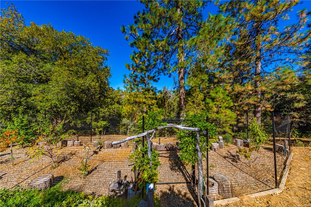 5757 Clouds Rest Mariposa, CA 95338 - Photo 51 of 68 a view of a yard with plants and large trees