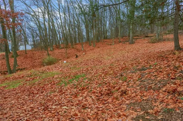 a view of outdoor space with trees