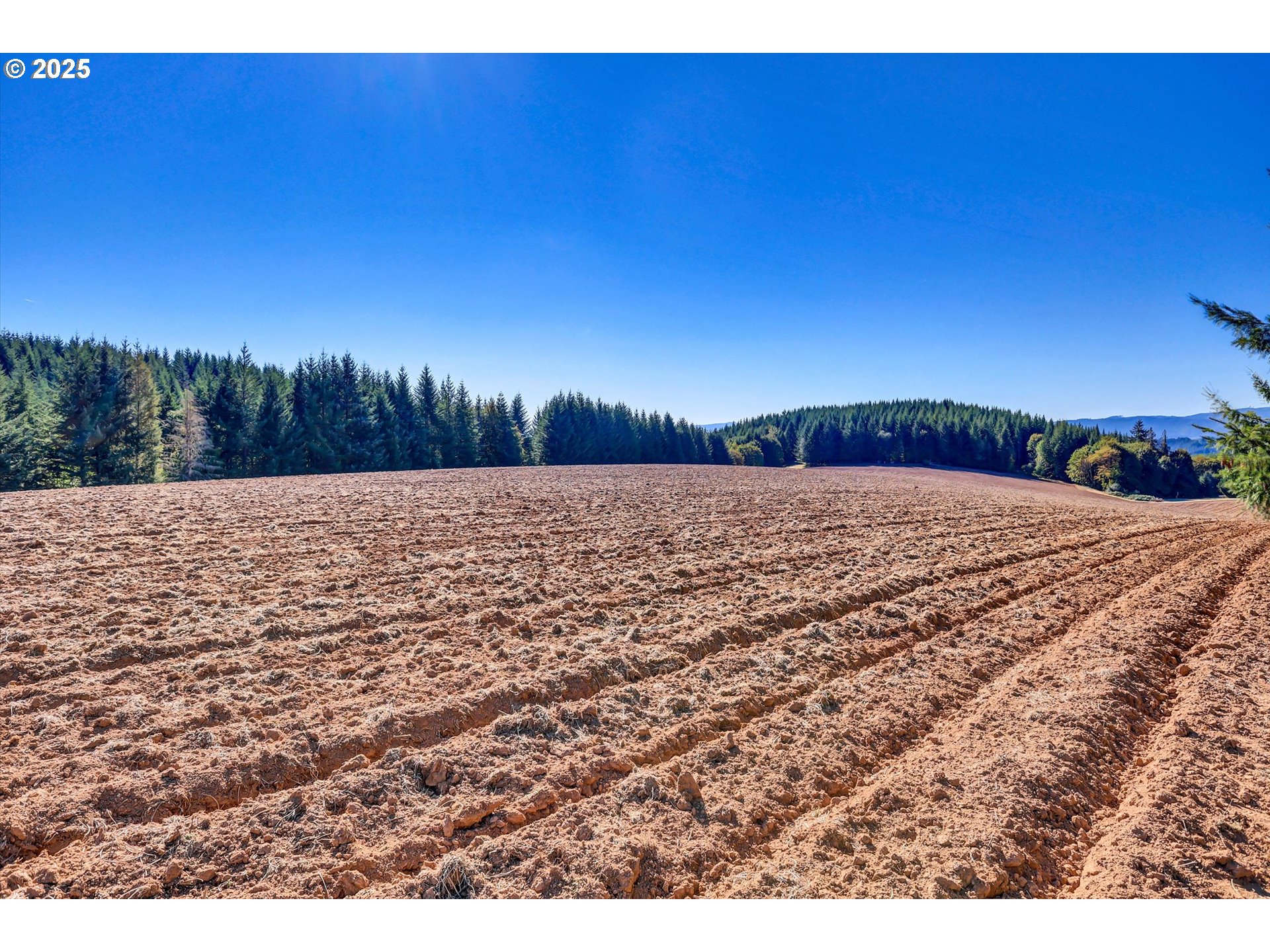 21076 Northwest Green Mountain Road Banks, OR 97106 - Photo 42 of 48
