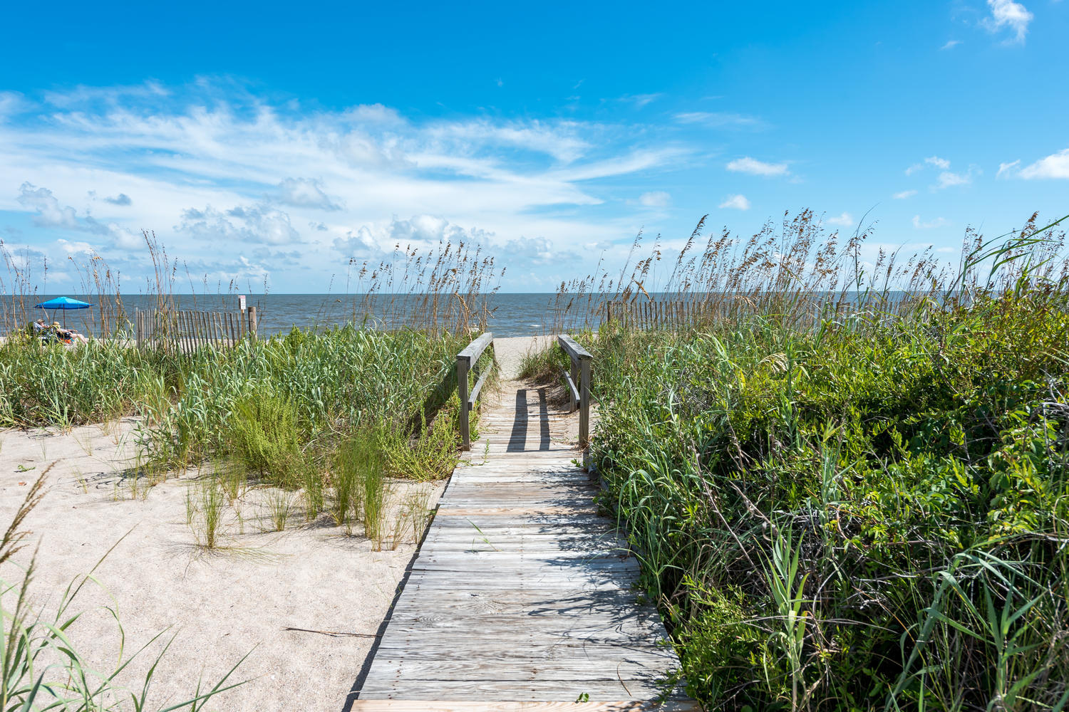 2403 Point Street, Unit 5 Edisto Beach, SC 29438 - Photo 8 of 38 2403