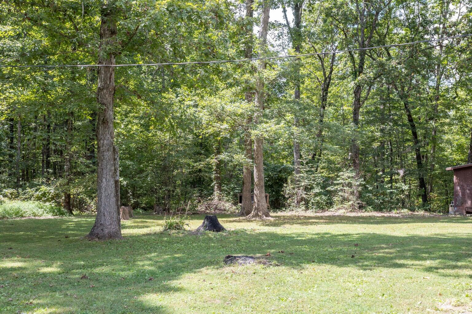 1004 Chestnut Ridge Road Spring City, TN 37381 - Photo 21 of 25 Back Yard