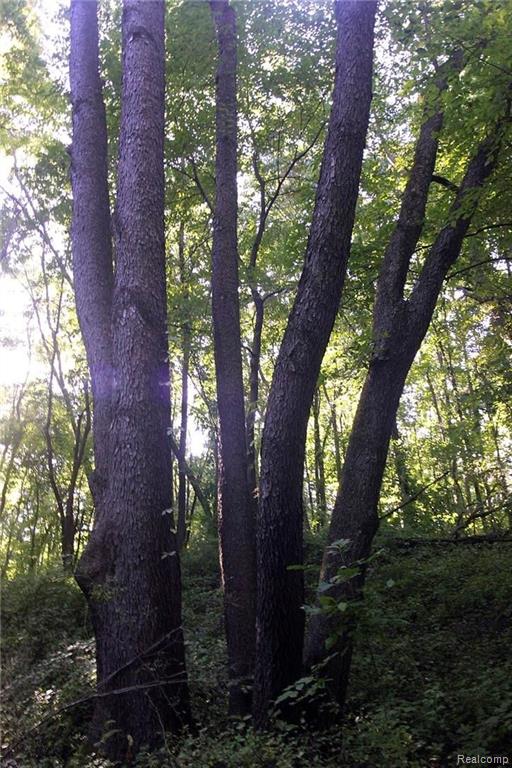 V/l Richardson Road Howell, MI 48843 - Photo 15 of 16