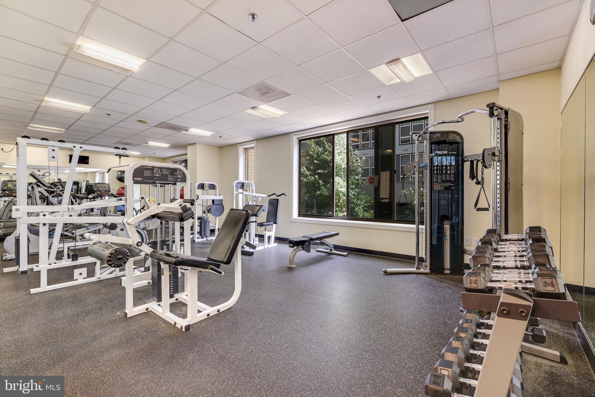 2726 Gallows Road, Unit 708 Vienna, VA 22180 - Photo 27 of 38 Fitness Center