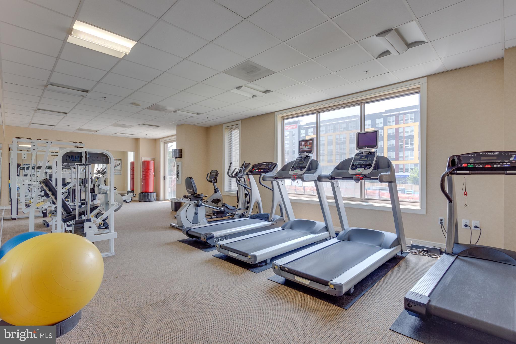 2726 Gallows Road, Unit 708 Vienna, VA 22180 - Photo 28 of 38 Fitness Center