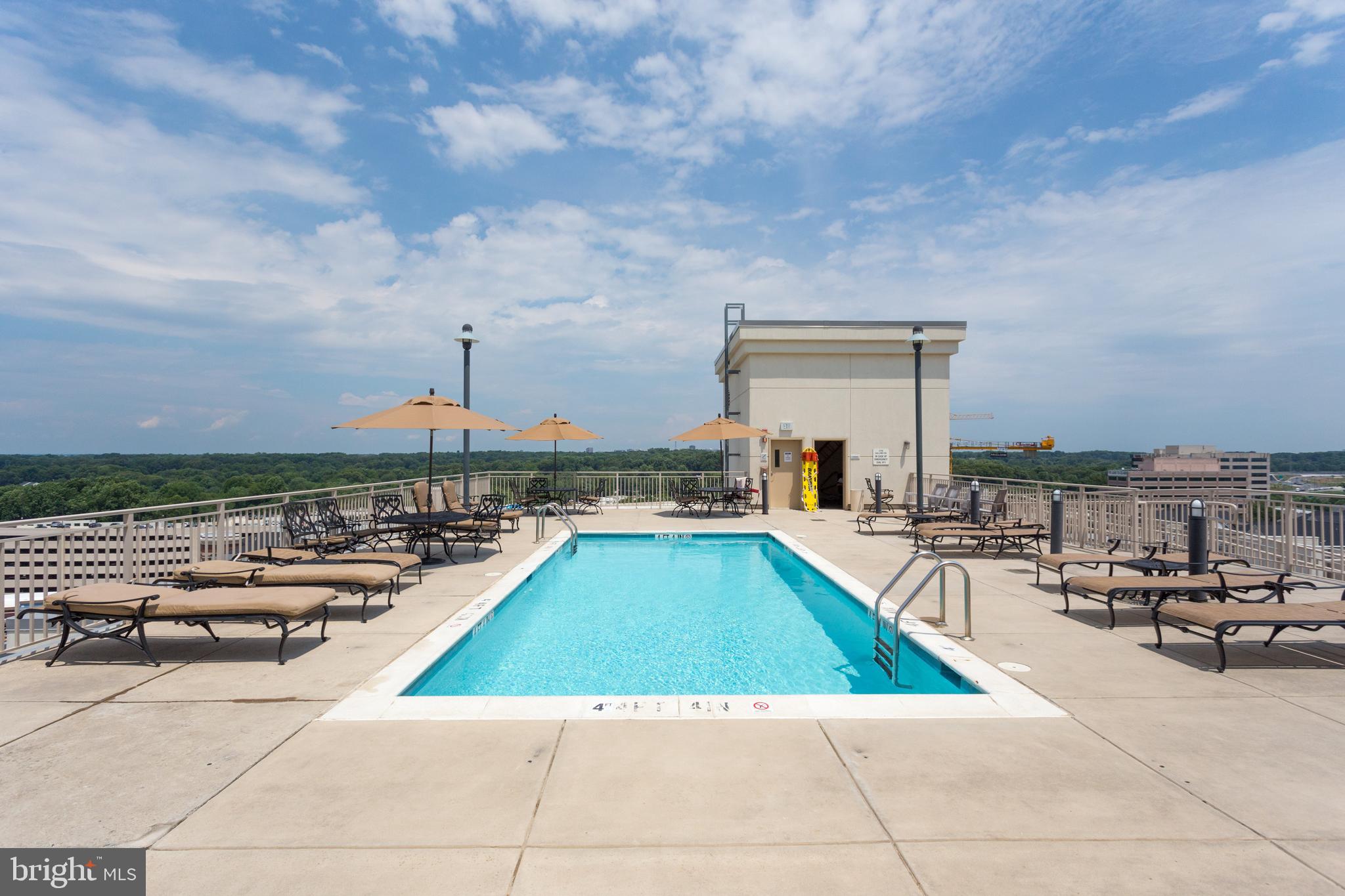 2726 Gallows Road, Unit 708 Vienna, VA 22180 - Photo 35 of 38 Pool