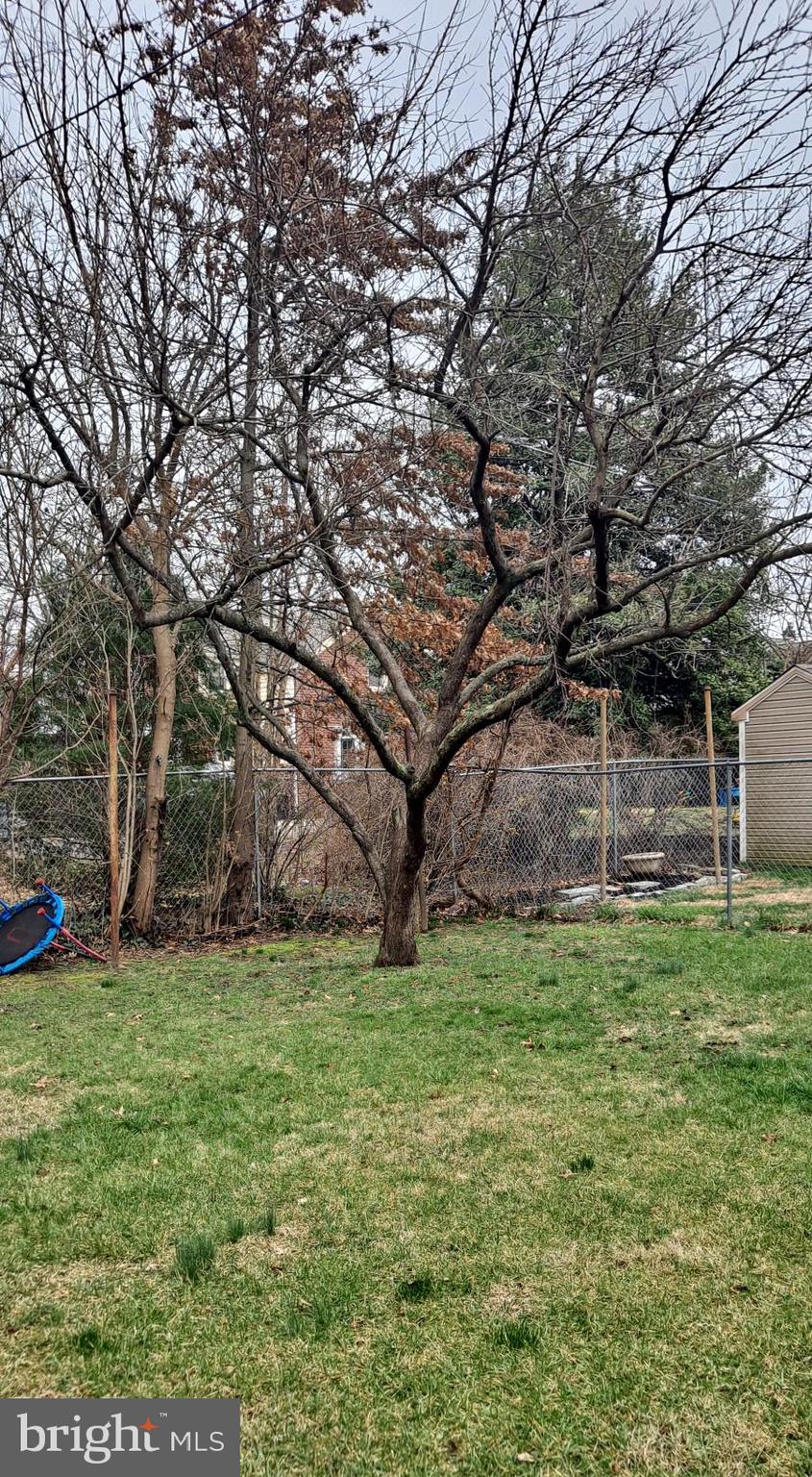 343 East County Line Road Ardmore, PA 19003 - Photo 7 of 7 Back Yard