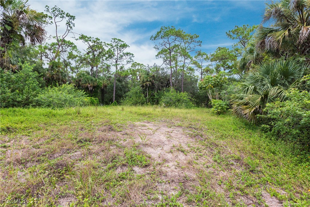 3180 Packinghouse Road Alva, FL 33920 - Photo 4 of 9 a view of outdoor space with trees all around