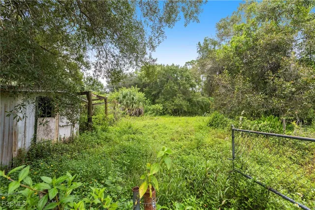 a view of a yard with a tree