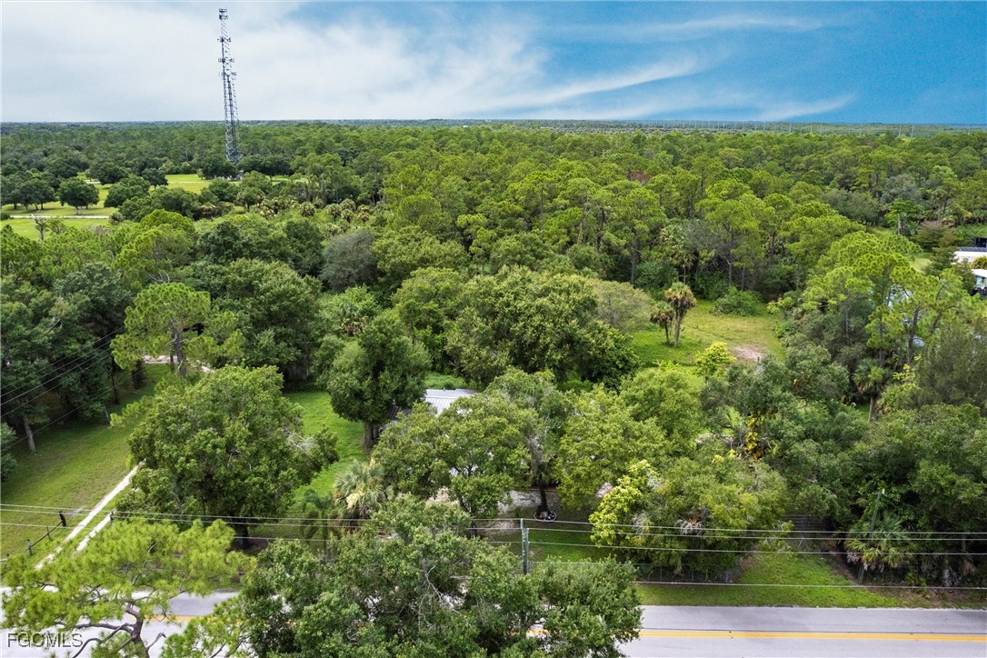 3180 Packinghouse Road Alva, FL 33920 - Photo 6 of 9 a view of a garden