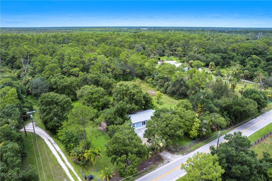 3180 Packinghouse Road Alva, FL 33920 - Photo 7 of 9 an aerial view of residential houses with outdoor space and trees