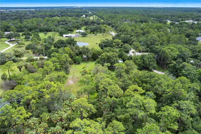 an aerial view of residential houses with outdoor space and trees