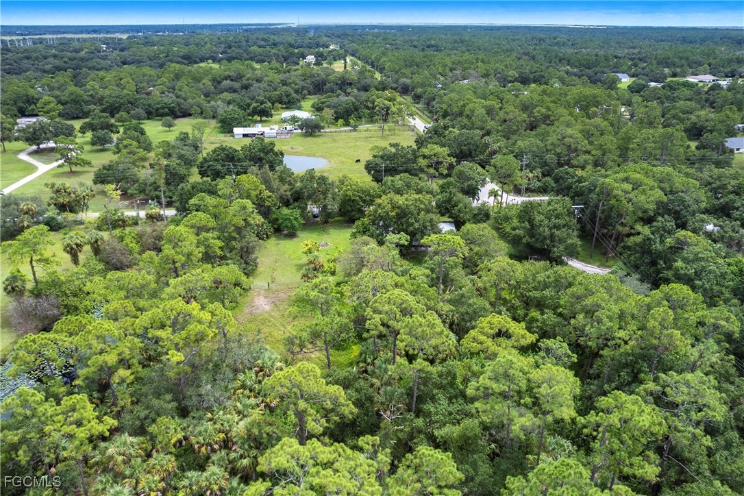 3180 Packinghouse Road Alva, FL 33920 - Photo 8 of 9 an aerial view of residential houses with outdoor space and trees