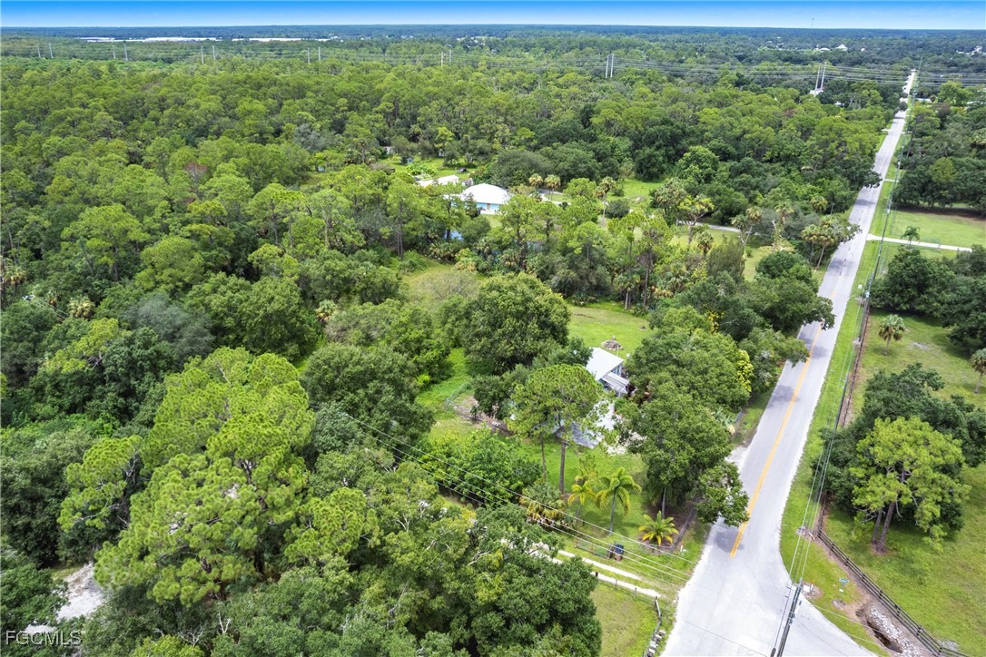 3180 Packinghouse Road Alva, FL 33920 - Photo 9 of 9 a view of a forest with a houses of forest