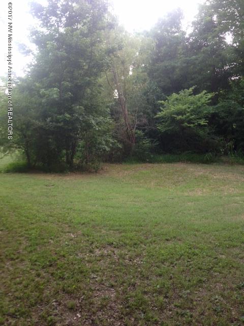 0 Barton Desoto Road Byhalia, MS 38611 - Photo 8 of 21 image7