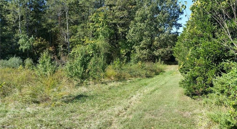 0 Johnson Ridge Road Elkin, NC 28621 - Photo 3 of 5