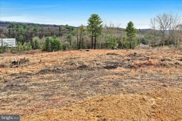 a view of a covered with snow in the background