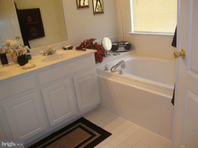 14022 Sawteeth Way Centreville, VA 20121 - Photo 3 of 24 Bath (Master)