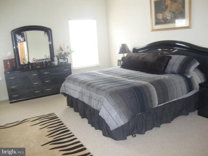 14022 Sawteeth Way Centreville, VA 20121 - Photo 5 of 24 Bedroom (Master)