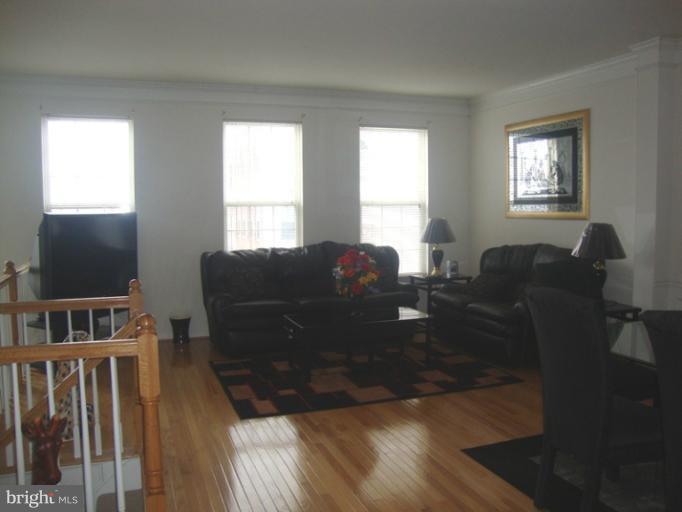 14022 Sawteeth Way Centreville, VA 20121 - Photo 6 of 24 Living Room
