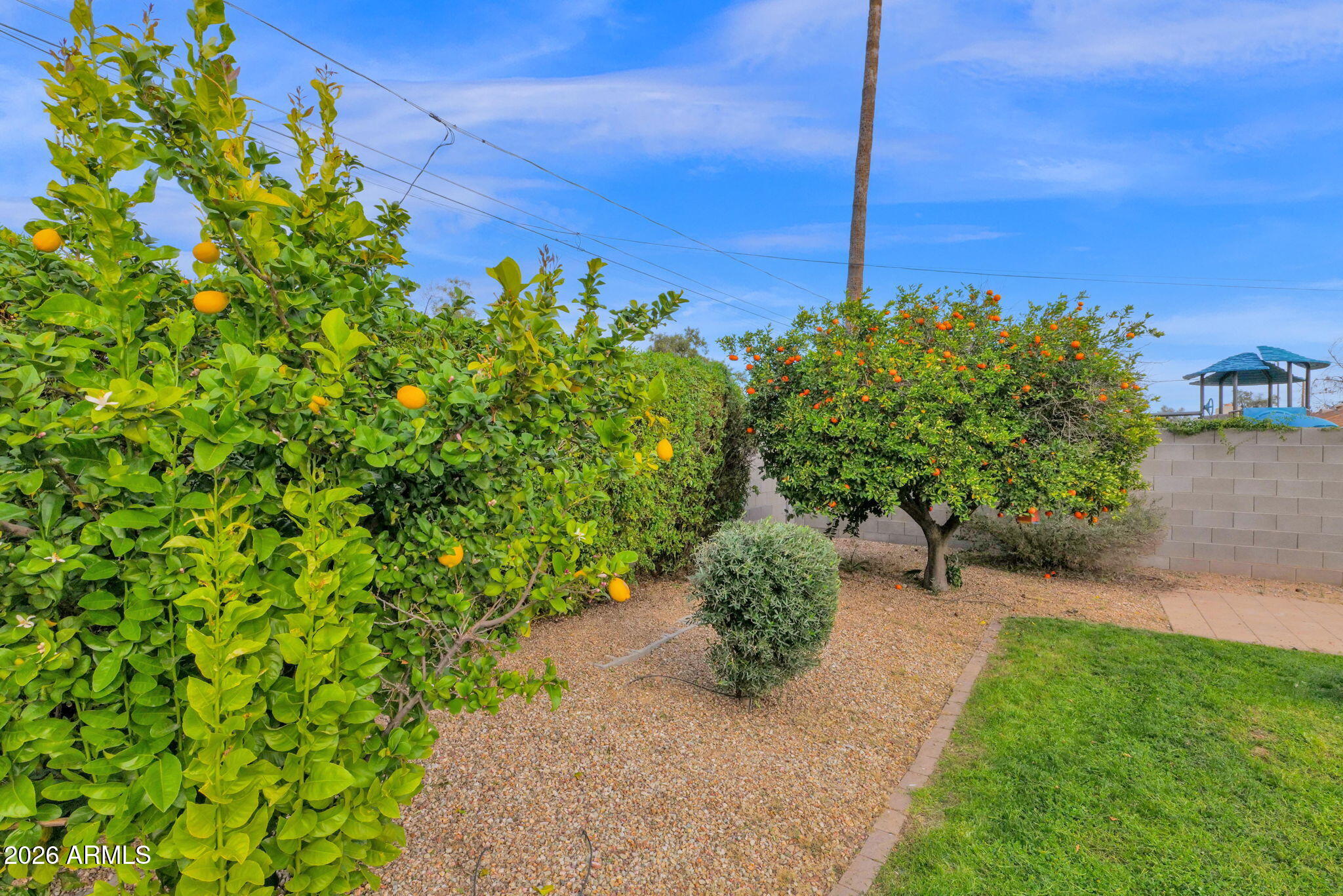 1612 West Ocotillo Road Phoenix, AZ 85015 - Photo 23 of 26 32-web-or-mls-P1460802