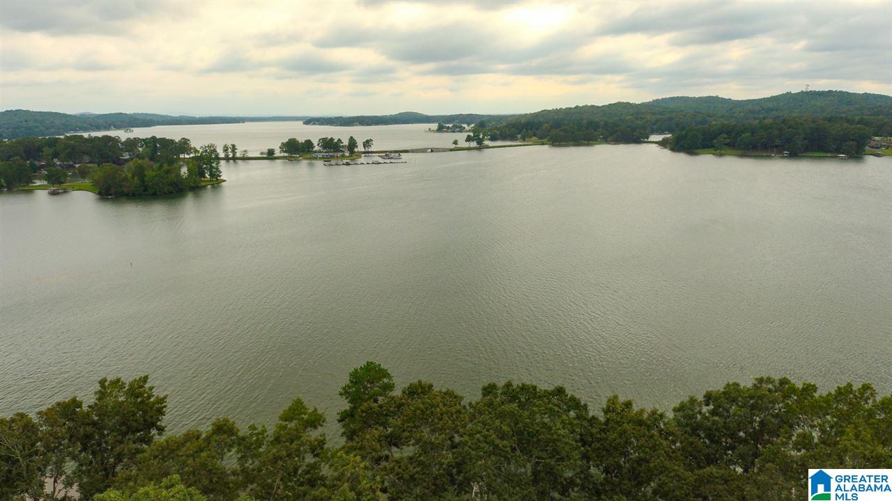 400 Clearwater Point Road Cropwell, AL 35054 - Photo 7 of 30