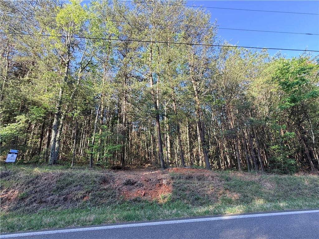 Lot 7 Pea Ridge Road Ball Ground, GA 30107 - Photo 4 of 14 Gallery Image 4