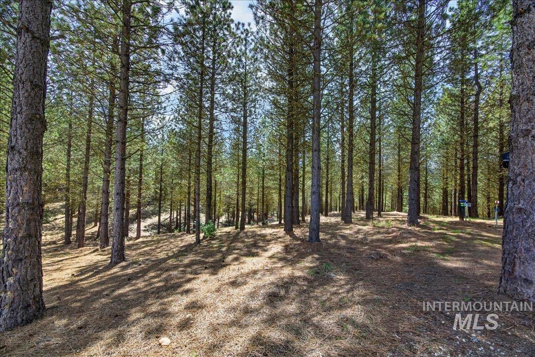 9512-9516 Packer John Road Cascade, ID 83611 - Photo 39 of 50