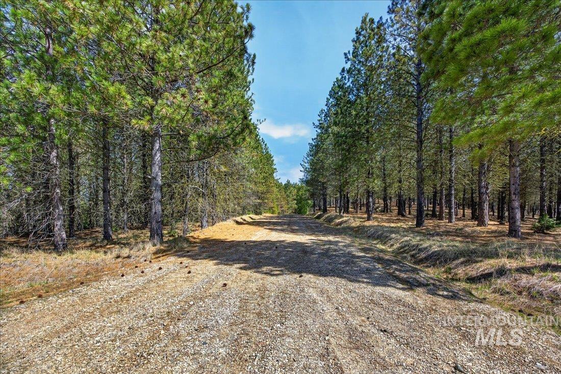 9512-9516 Packer John Road Cascade, ID 83611 - Photo 40 of 50