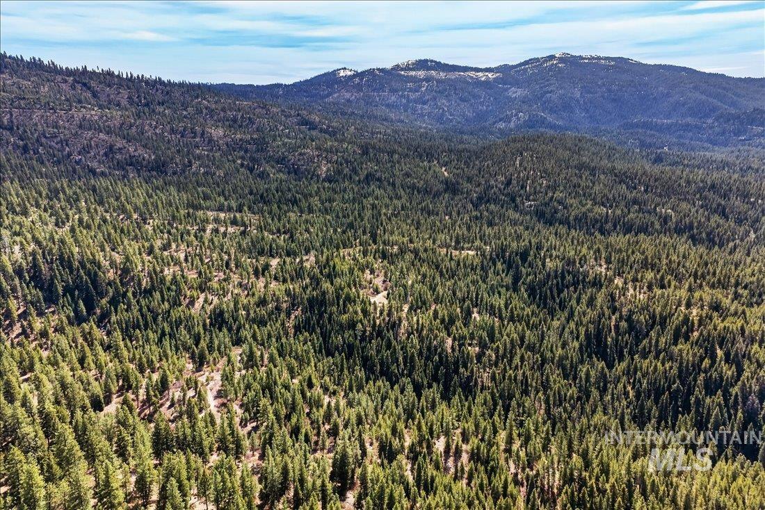 9512-9516 Packer John Road Cascade, ID 83611 - Photo 42 of 50