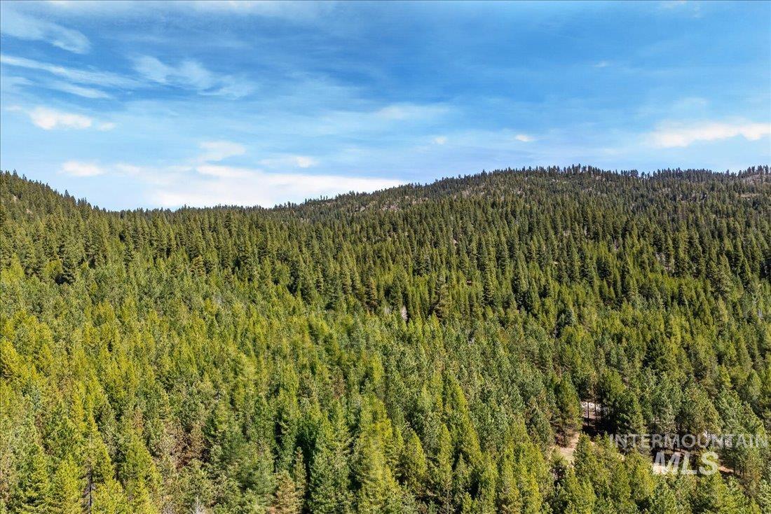9512-9516 Packer John Road Cascade, ID 83611 - Photo 43 of 50