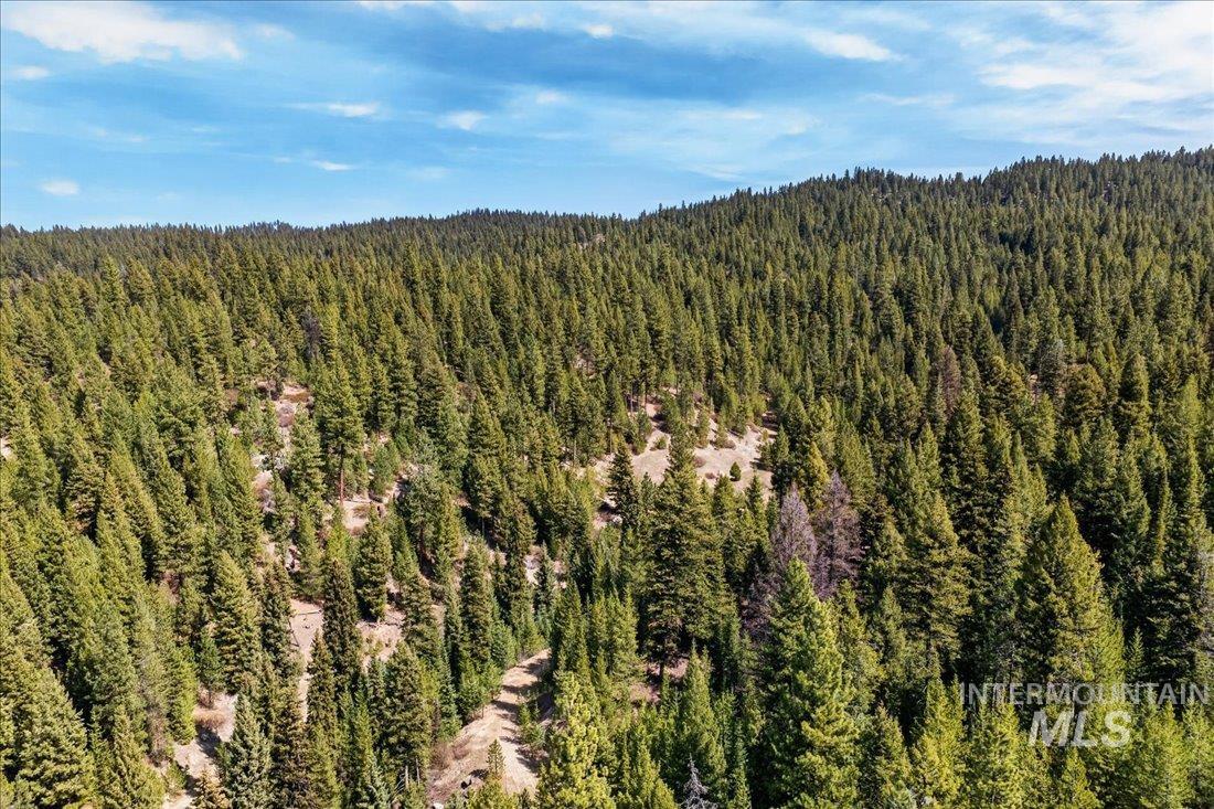 9512-9516 Packer John Road Cascade, ID 83611 - Photo 48 of 50