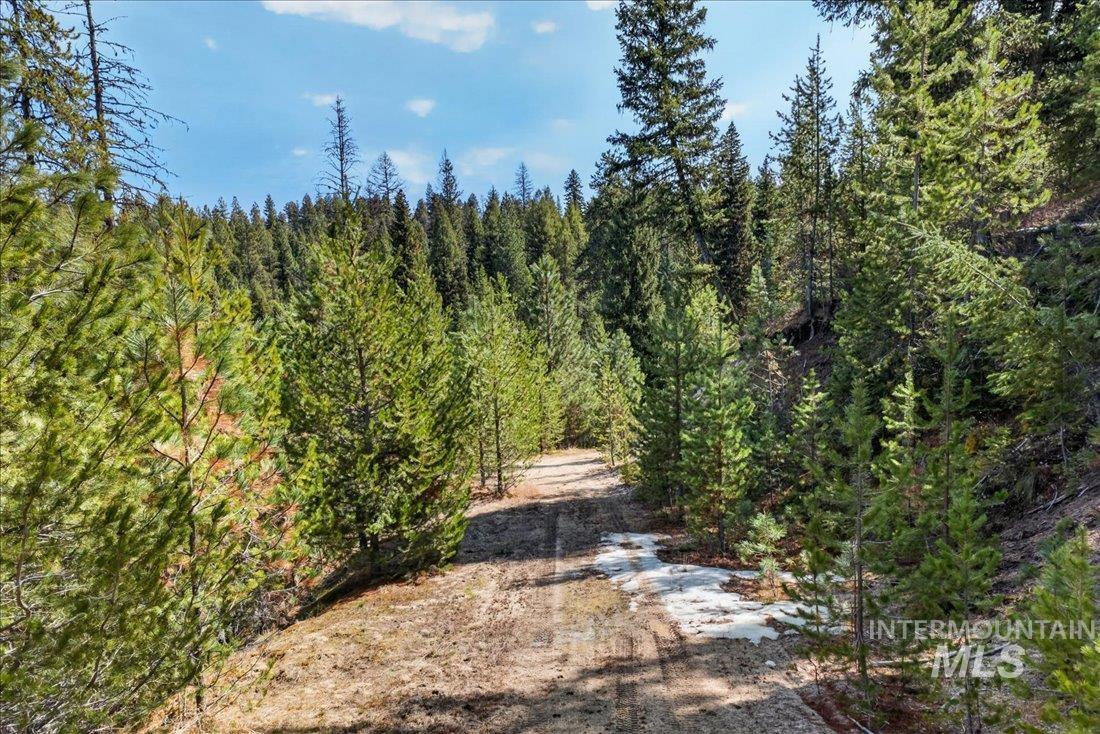9512-9516 Packer John Road Cascade, ID 83611 - Photo 49 of 50