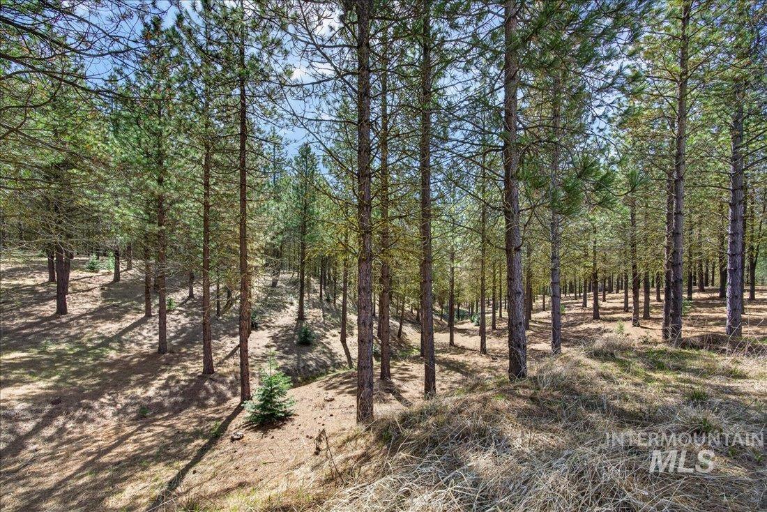 9512-9516 Packer John Road Cascade, ID 83611 - Photo 8 of 50