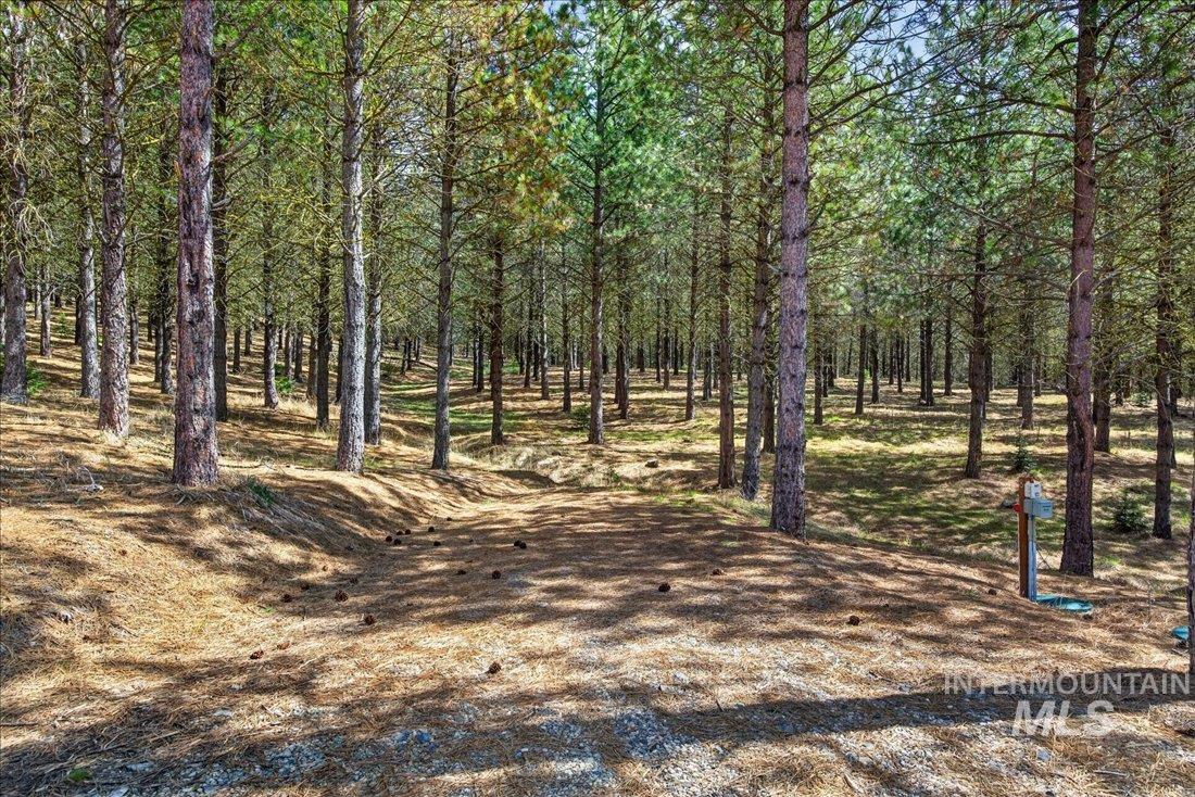 9512-9516 Packer John Road Cascade, ID 83611 - Photo 9 of 50